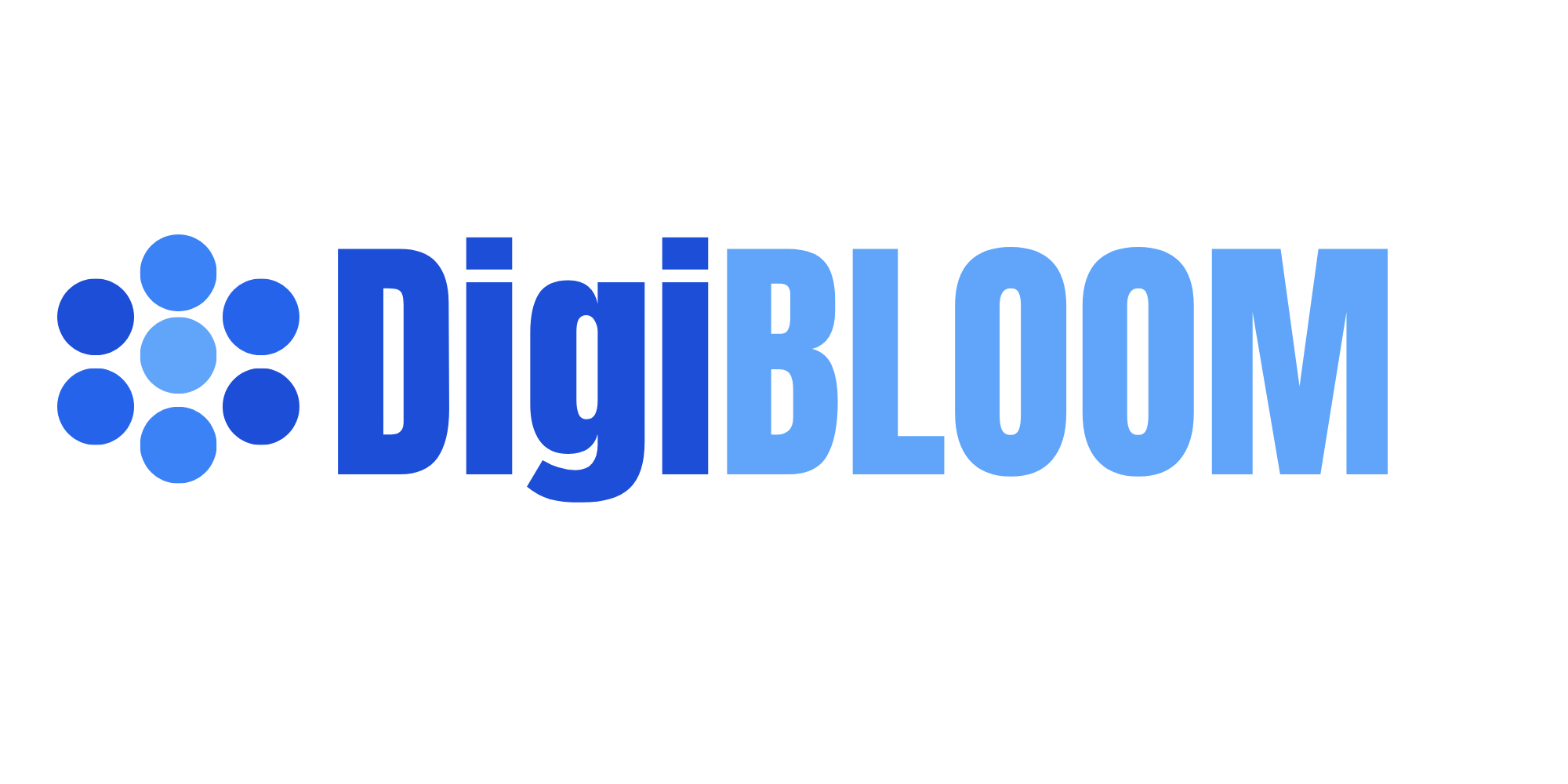 DigiStore
